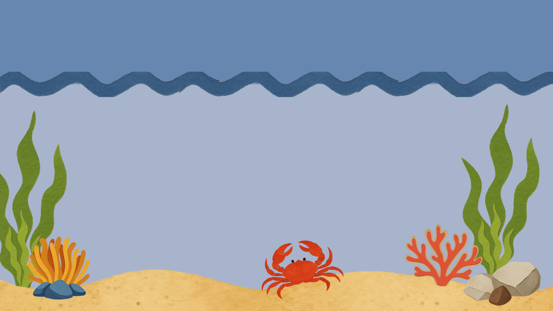 ¿Qué apareció bajo el mar?