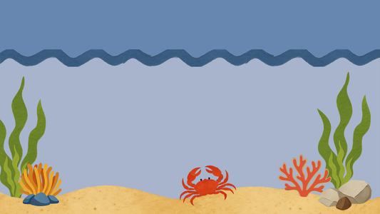 ¿Qué apareció bajo el mar?