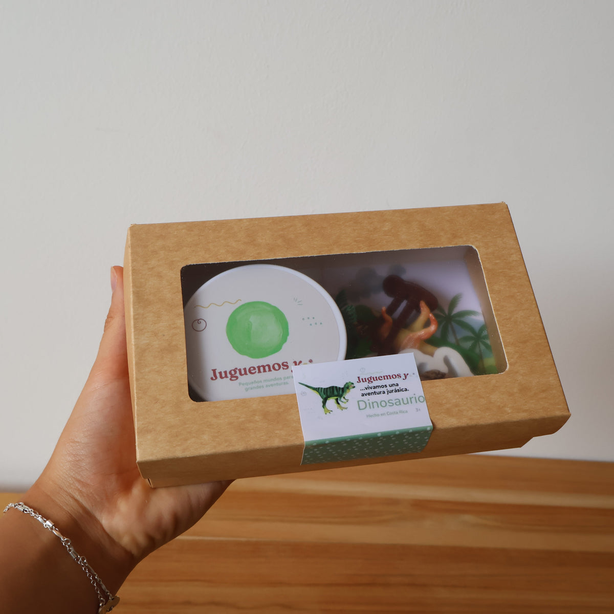 Play Box Dinosaurio